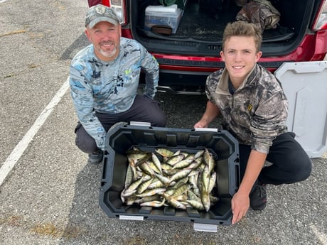 Perch Fishing in Manistee, Michigan
