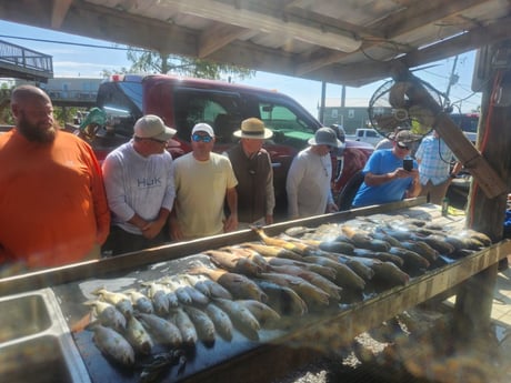 Fishing in Yscloskey, Louisiana