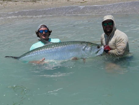 Tarpon Fishing in St. Petersburg, Florida