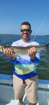 Speckled Trout Fishing in