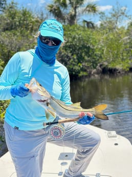 Fishing in Punta Gorda, Florida