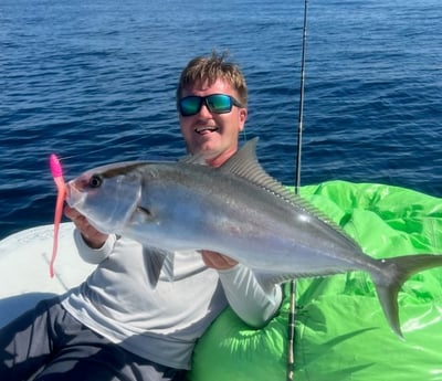 Amberjack Fishing in Matagorda, Texas