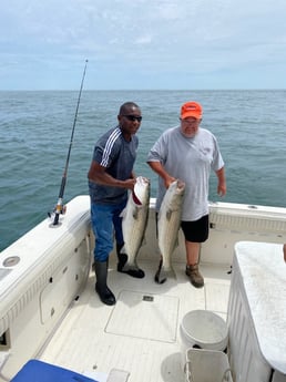 Striped Bass fishing in Montauk, New York