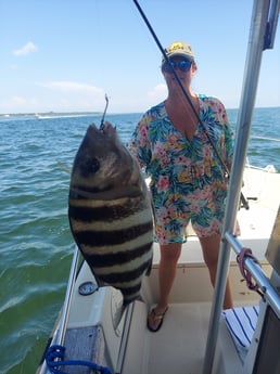 Sheepshead fishing in Gulfport, Florida