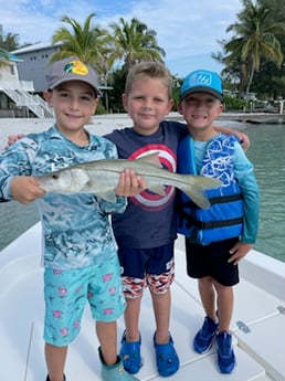 Snook fishing in Placida, Florida