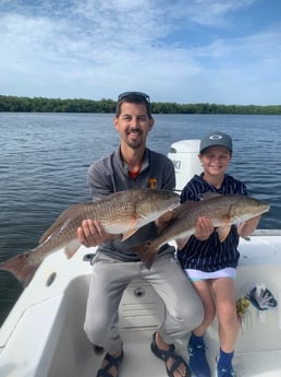 Redfish Fishing in Bradenton, Florida