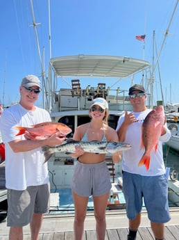 Barracuda, Mutton Snapper Fishing in West Palm Beach, Florida