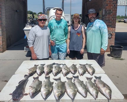 Blue Catfish, Striped Bass fishing in Runaway Bay, Texas