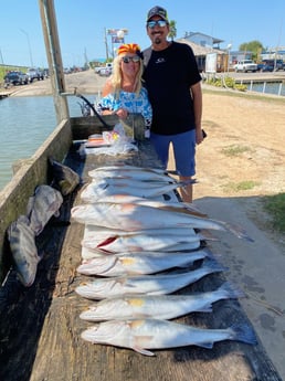 Redfish, Sheepshead, Speckled Trout / Spotted Seatrout fishing in Galveston, Texas