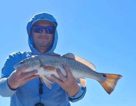 Fishing in Charleston, South Carolina