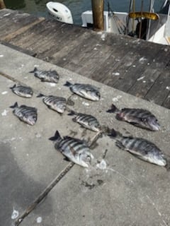 Fishing in Port Orange, Florida