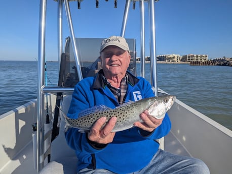 Fishing in Seminole, Florida