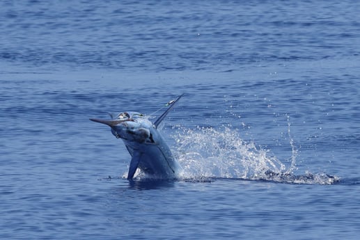 Fishing in Kailua-Kona, Hawaii