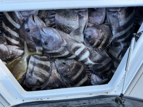 Fishing in Buras, Louisiana
