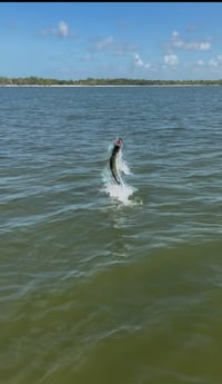 Fishing in Marco Island, Florida