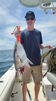 Amberjack Fishing in