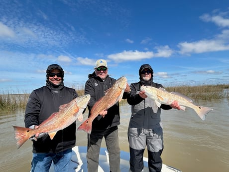 Fishing in Covington, Louisiana