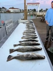 Speckled Trout Fishing in New Orleans, Louisiana