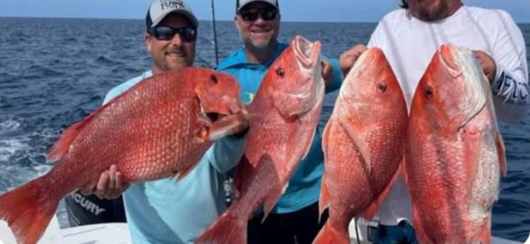 Red Snapper Fishing in Clearwater, Florida