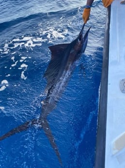 Fishing in Coconut Creek, Florida