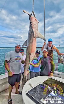 Fishing in Pompano Beach, Florida
