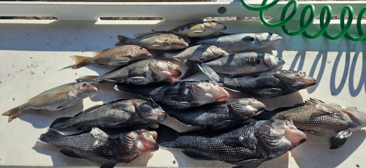 Fishing in Jacksonville, Florida