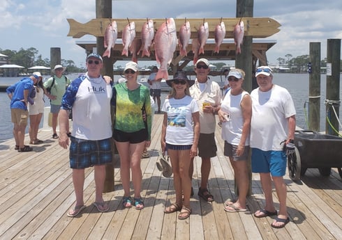 Red Snapper fishing in Orange Beach, Alabama