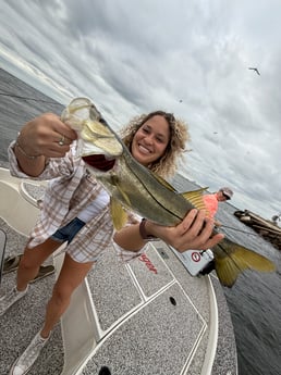Fishing in Tampa, Florida