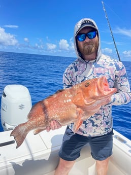 Fishing in Sarasota, Florida