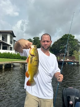 Fishing in West Palm Beach, Florida