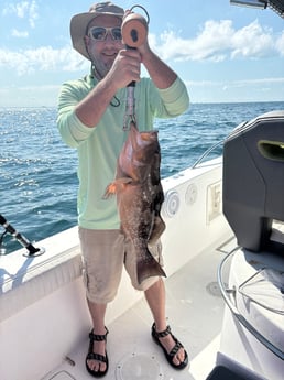 Fishing in Belleair Bluffs, Florida