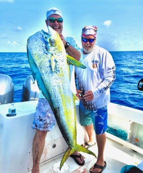Mahi Mahi Fishing in Marathon, Florida