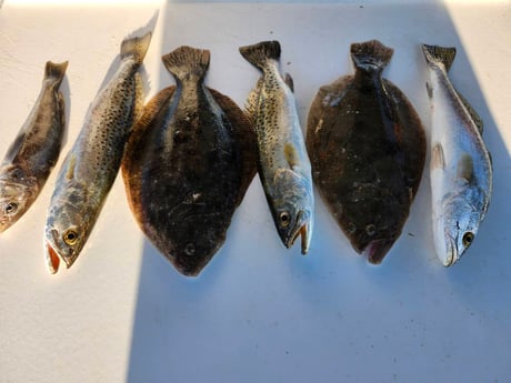 Fishing in Fort Myers Beach, Florida