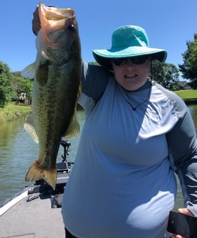 Largemouth Bass fishing in Lake Fork, Texas