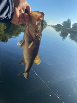 Fishing in West Palm Beach, Florida