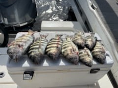 Fishing in Port Orange, Florida