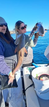 Fishing in Panama City Beach, Florida