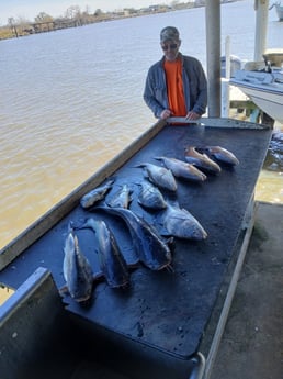 Fishing in Lafitte, Louisiana