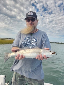 Speckled Trout / Spotted Seatrout Fishing in Trails End Road, Wilmington, N, North Carolina