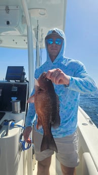 Fishing in Panama City, Florida