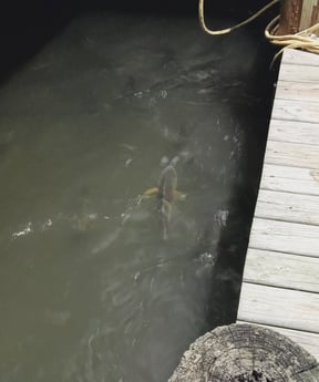 Fishing in Fort Pierce, Florida