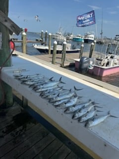 Fishing in Gulf Shores, Alabama