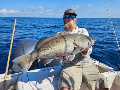 Fishing in New Port Richey, Florida