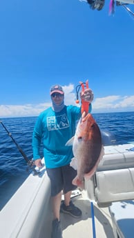Red Snapper Fishing in