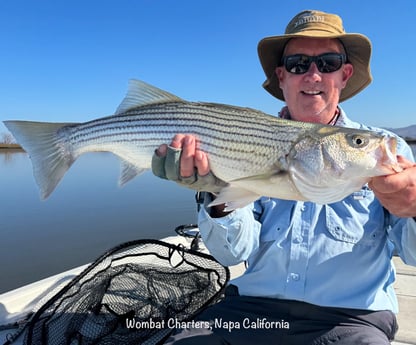 Fishing in Napa, California