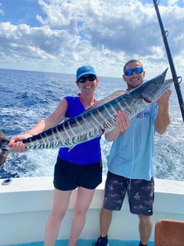 Wahoo Fishing in West Palm Beach, Florida