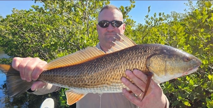 Fishing in Naples, Florida