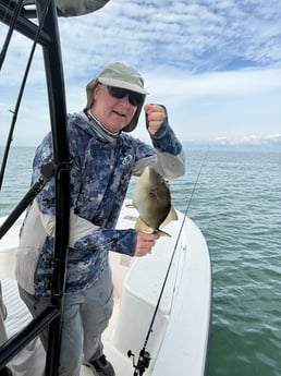 Triggerfish Fishing in