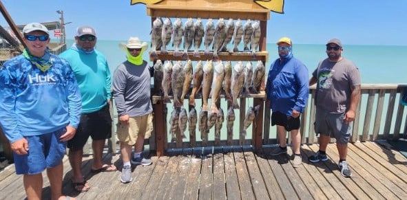Black Drum, Redfish Fishing in Port Isabel, Texas