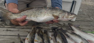 Fishing in Slidell, Louisiana